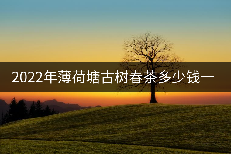2022年薄荷塘古樹春茶多少錢一公斤？