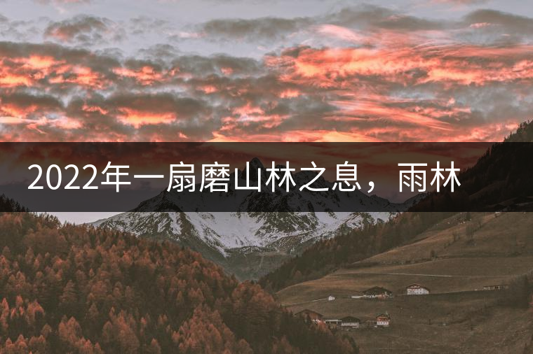 2022年一扇磨山林之息，雨林之味，原始之態(tài)
