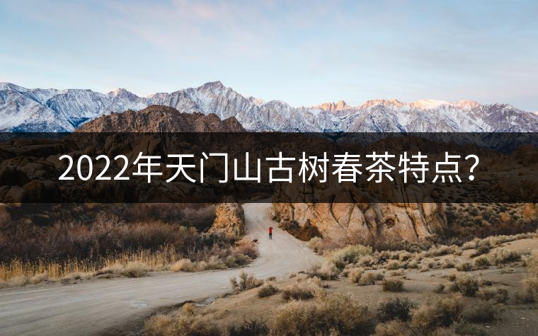 2022年天門山古樹春茶特點? 2022年天門山古樹春茶特點?