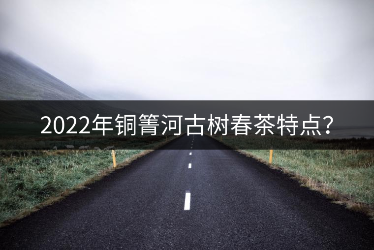 2022年銅箐河古樹春茶特點(diǎn)? 2022年銅箐河古樹春茶特點(diǎn)?