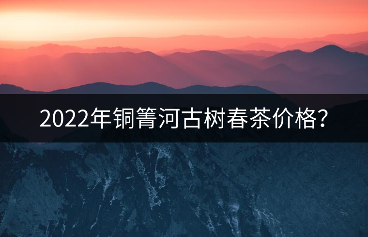 2022年銅箐河古樹春茶價(jià)格？