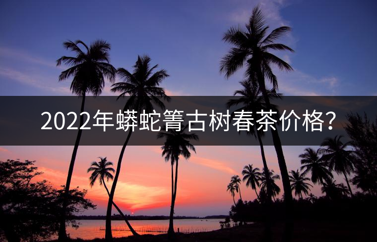 2022年蟒蛇箐古樹春茶價(jià)格？