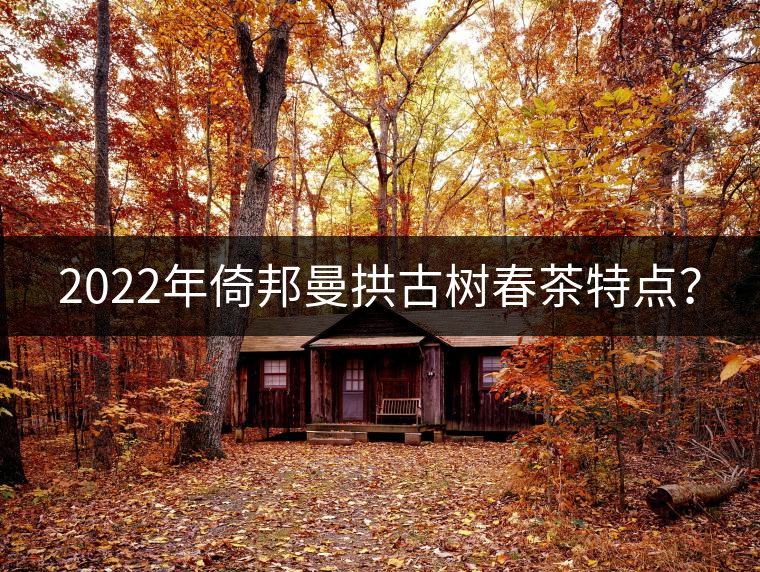 2022年倚邦曼拱古樹(shù)春茶特點(diǎn)？
