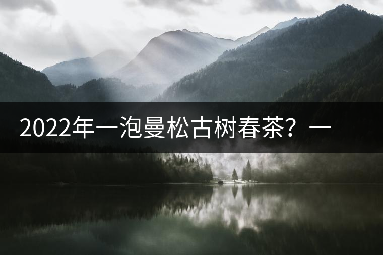 2022年一泡曼松古樹春茶？一飲帝王味……