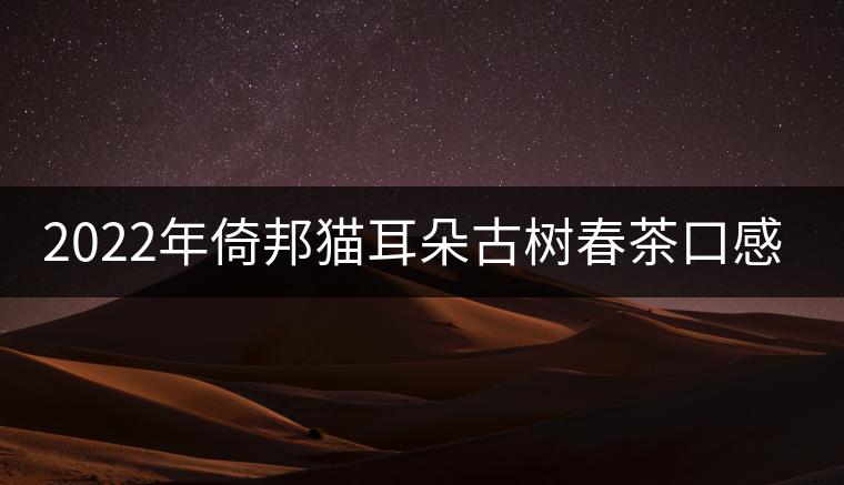 2022年倚邦貓耳朵古樹春茶口感？