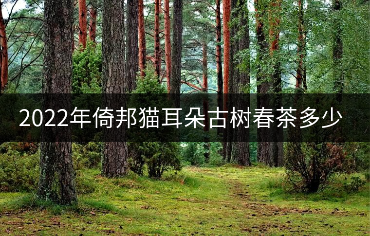 2022年倚邦貓耳朵古樹春茶多少錢一公斤？