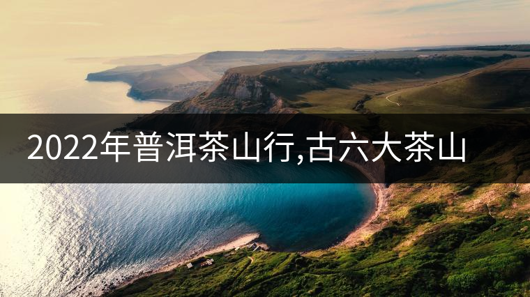 2022年普洱茶山行,古六大茶山里隱藏的王者蠻磚