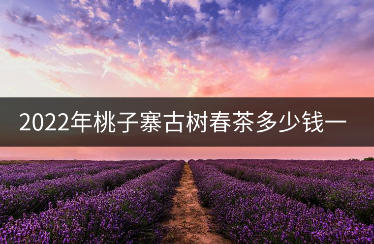 2022年桃子寨古樹春茶多少錢一公斤？