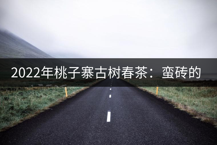 2022年桃子寨古樹春茶:蠻磚的璀璨“明星” 2022年桃子寨古樹春茶:蠻磚的璀璨“明星”