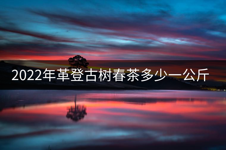 2022年革登古樹春茶多少一公斤？