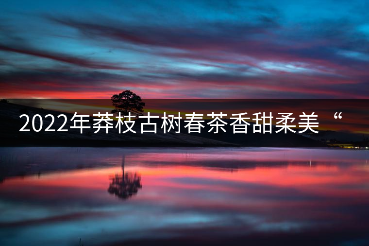 2022年莽枝古樹(shù)春茶香甜柔美“女兒茶” 2022年莽枝古樹(shù)春茶香甜柔美“女兒茶”