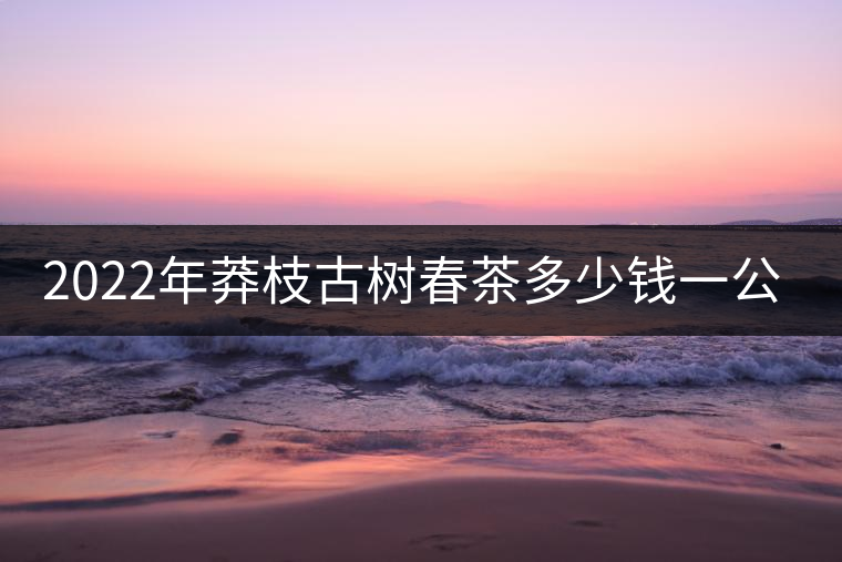 2022年莽枝古樹春茶多少錢一公斤？