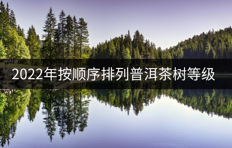 2022年按順序排列普洱茶樹等級(jí) 怎么分? 2022年按順序排列普洱茶樹等級(jí) 怎么分?