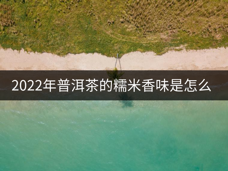 2022年普洱茶的糯米香味是怎么來的？