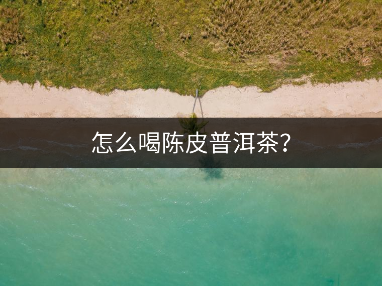 怎么喝陳皮普洱茶？