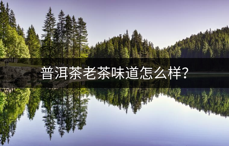 普洱茶老茶味道怎么樣？