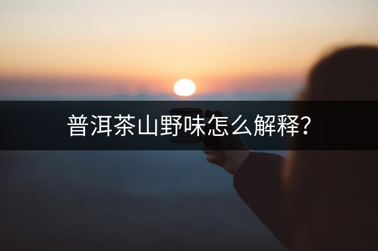 普洱茶山野味怎么解釋？