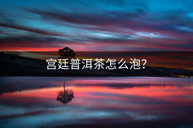 宮廷普洱茶怎么泡？