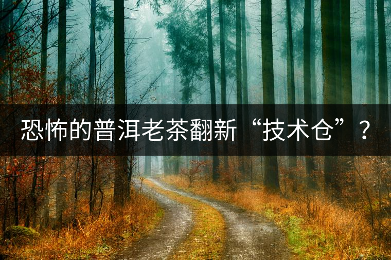 恐怖的普洱老茶翻新“技術(shù)倉”？
