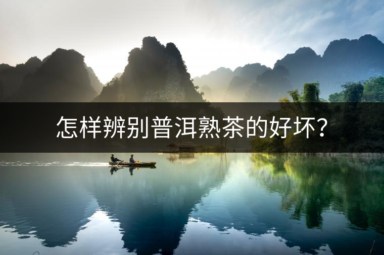 怎樣辨別普洱熟茶的好壞？
