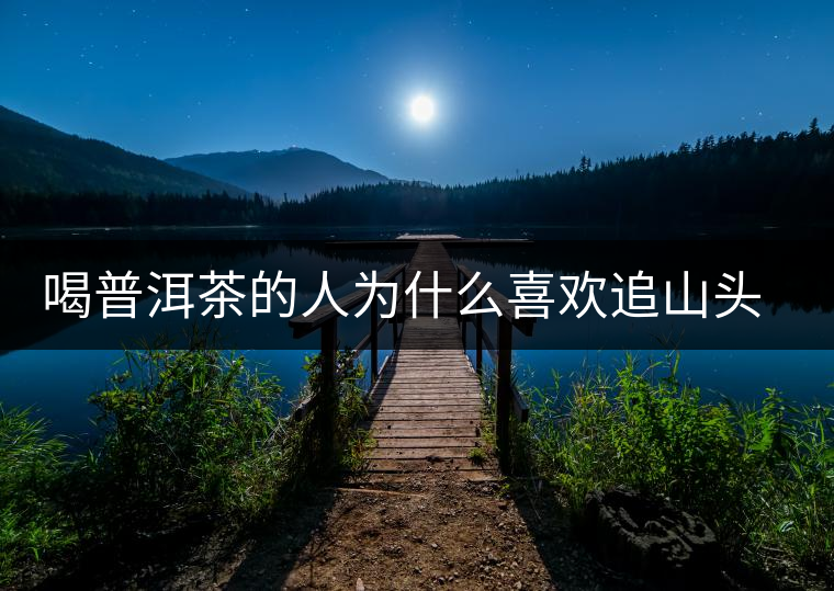 喝普洱茶的人為什么喜歡追山頭？無非就是這幾個原因