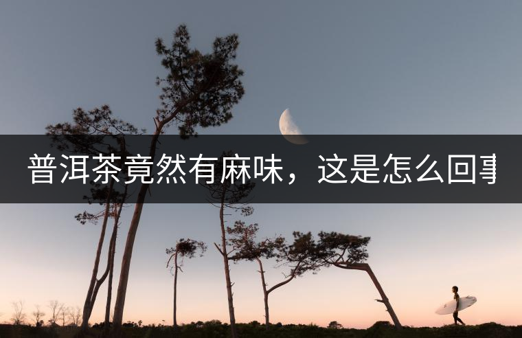 普洱茶竟然有麻味，這是怎么回事？