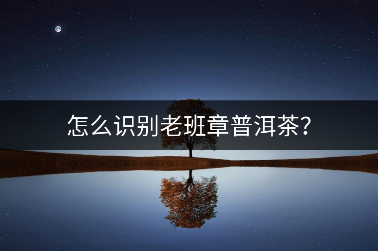 怎么識(shí)別老班章普洱茶？