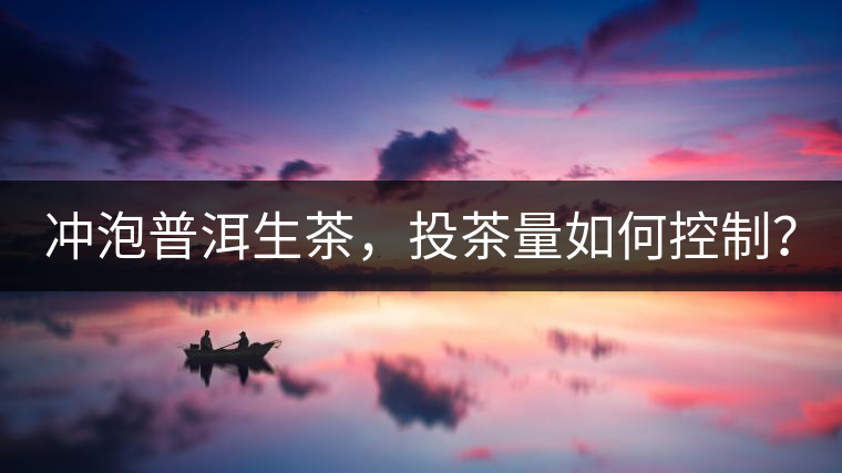 沖泡普洱生茶，投茶量如何控制？