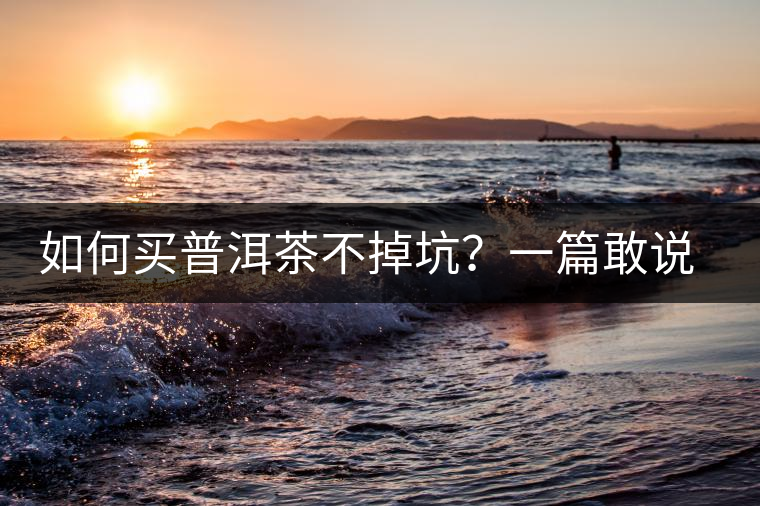 如何買普洱茶不掉坑？一篇敢說真話的良心之作。