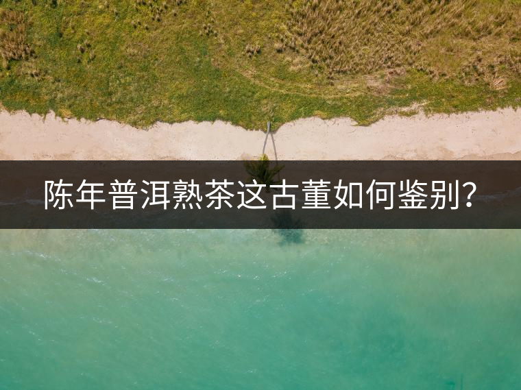 陳年普洱熟茶這古董如何鑒別？