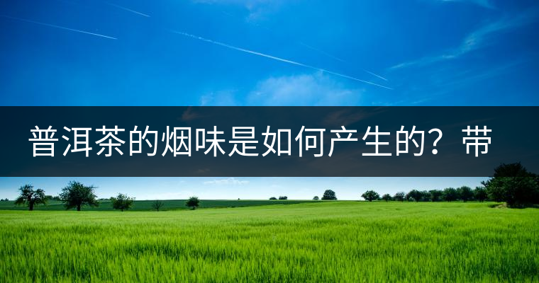 普洱茶的煙味是如何產(chǎn)生的？帶煙味的普洱茶是好還是壞？