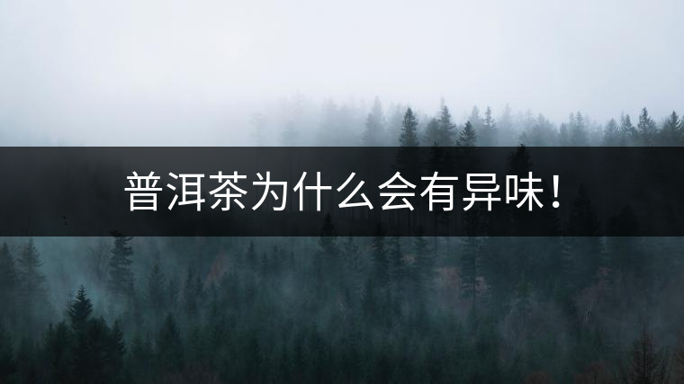 普洱茶為什么會有異味！
