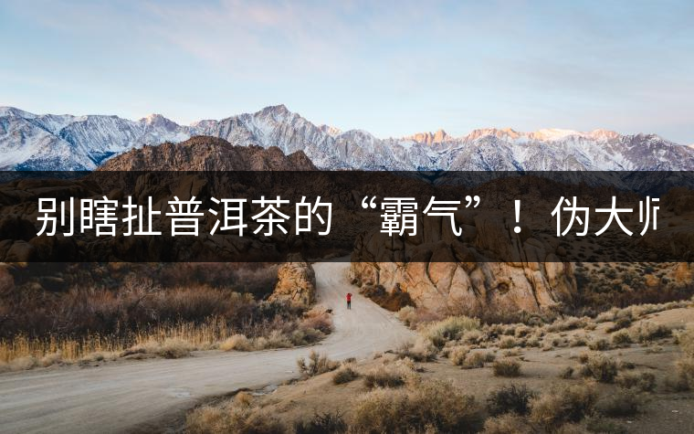 別瞎扯普洱茶的“霸氣”！偽大師！