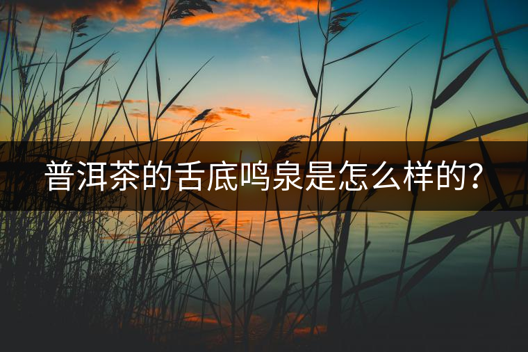 普洱茶的舌底鳴泉是怎么樣的？
