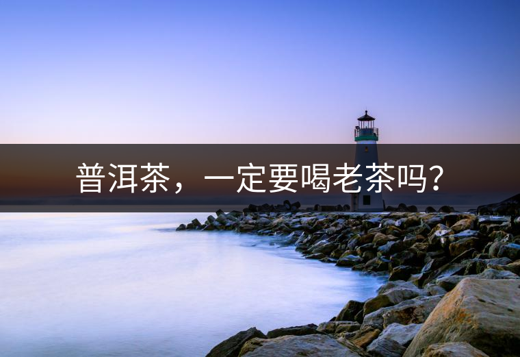普洱茶，一定要喝老茶嗎？