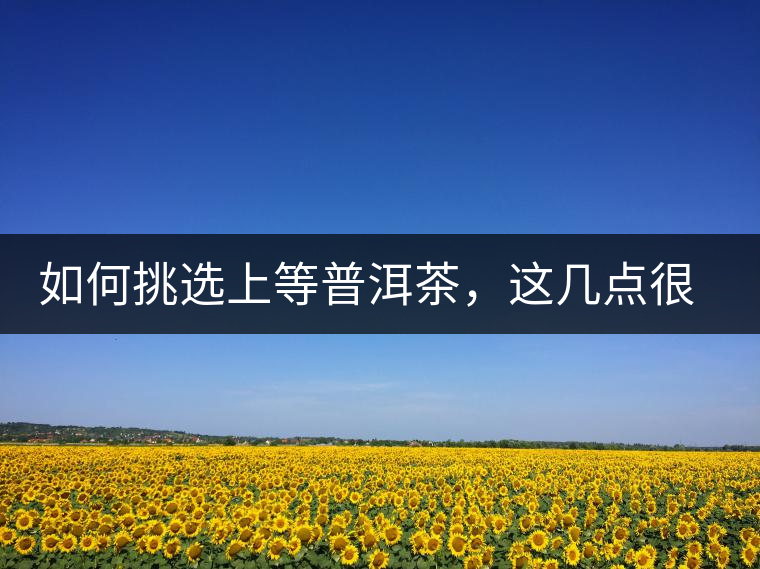 如何挑選上等普洱茶，這幾點(diǎn)很關(guān)鍵