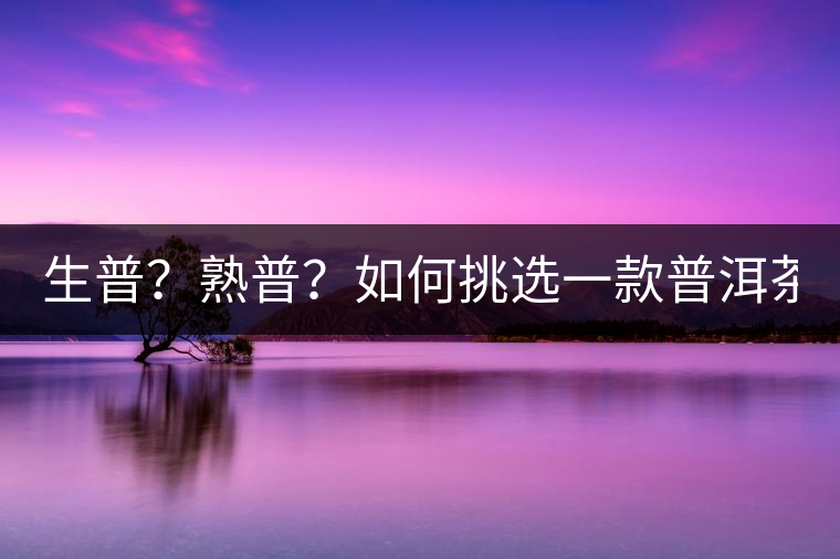 生普？熟普？如何挑選一款普洱茶？