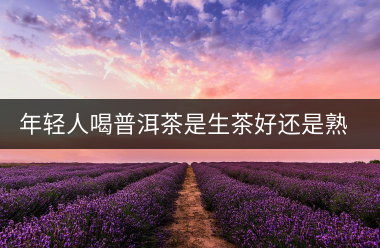 年輕人喝普洱茶是生茶好還是熟茶好？該怎么選擇？