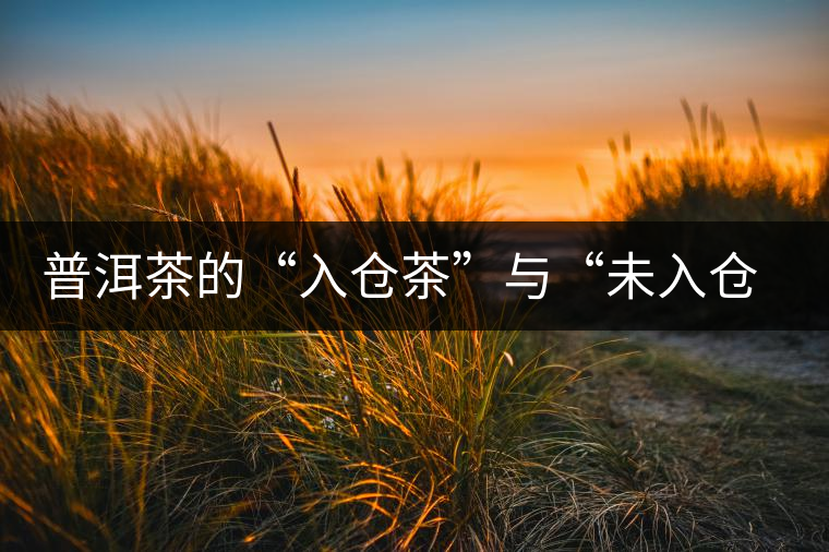 普洱茶的“入倉(cāng)茶”與“未入倉(cāng)茶”如何區(qū)分，你造嗎？