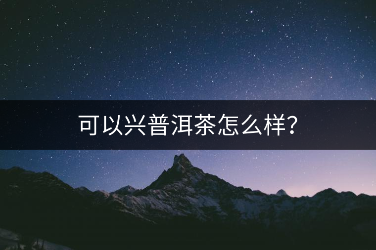 可以興普洱茶怎么樣？
