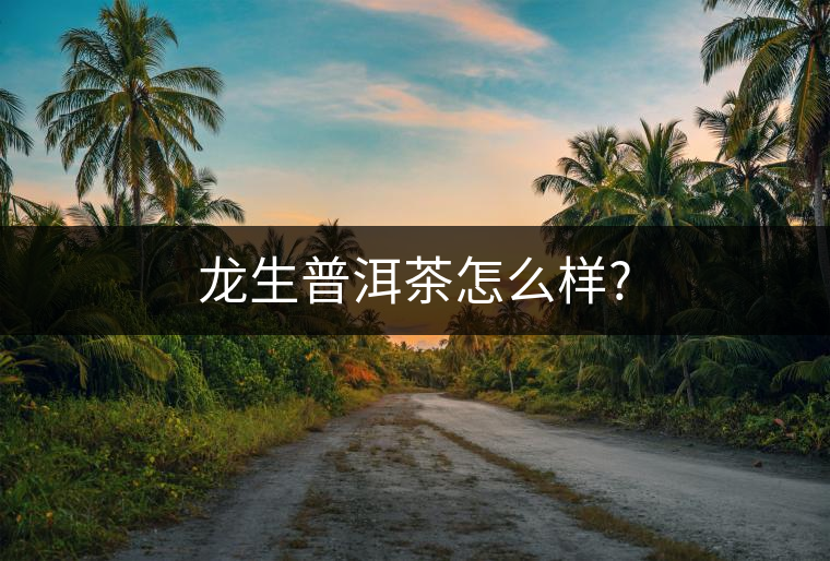 龍生普洱茶怎么樣?