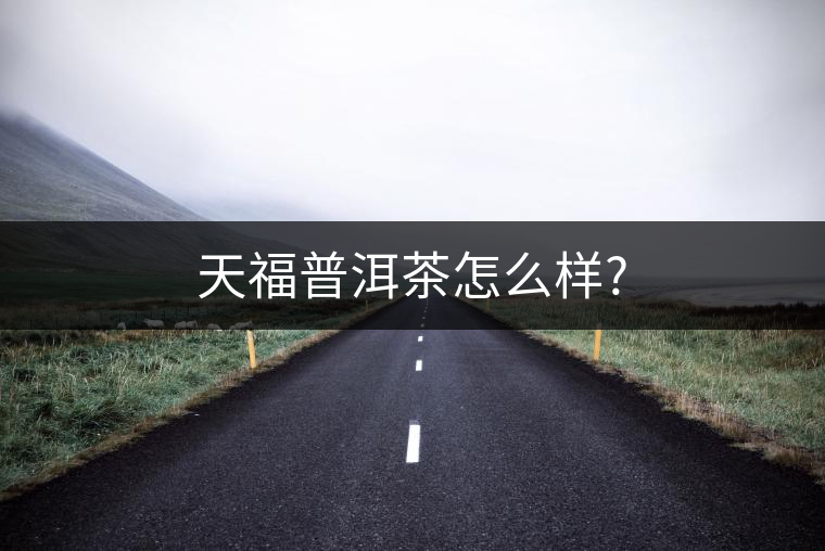 天福普洱茶怎么樣?