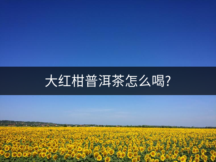 大紅柑普洱茶怎么喝?