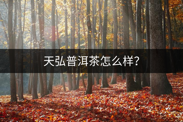 天弘普洱茶怎么樣？