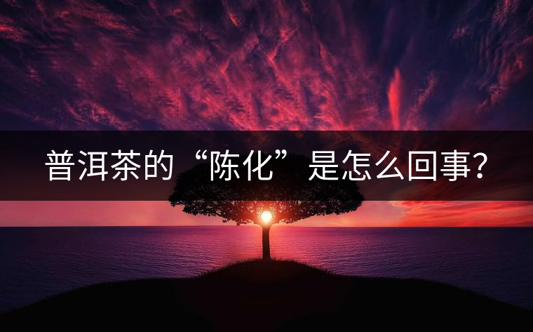 普洱茶的“陳化”是怎么回事？