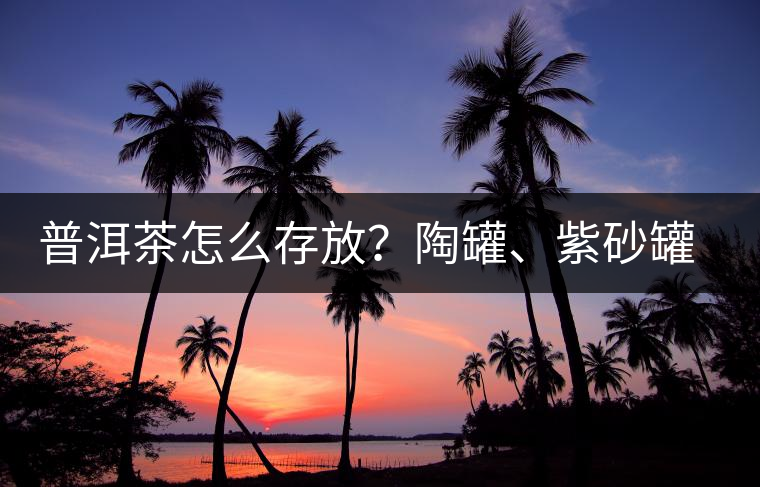 普洱茶怎么存放？陶罐、紫砂罐存茶，哪樣好？