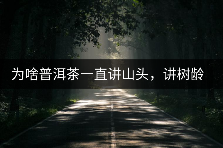 為啥普洱茶一直講山頭，講樹(shù)齡，很少講品種呢！