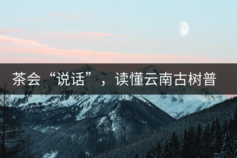 茶會(huì)“說話”，讀懂云南古樹普洱茶的秘訣