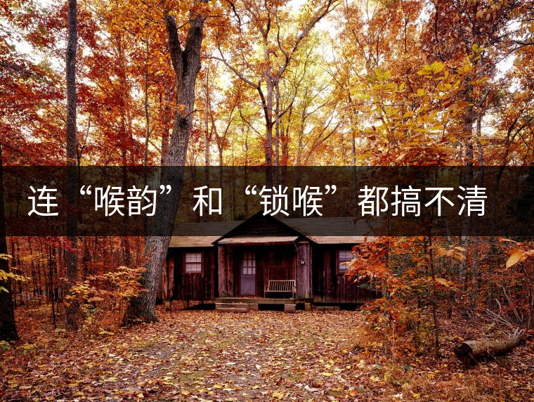 連“喉韻”和“鎖喉”都搞不清楚，就不要說(shuō)懂普洱茶！