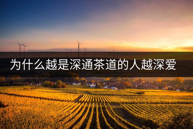 為什么越是深通茶道的人越深愛普洱茶？喜歡普洱茶，有三個原因。